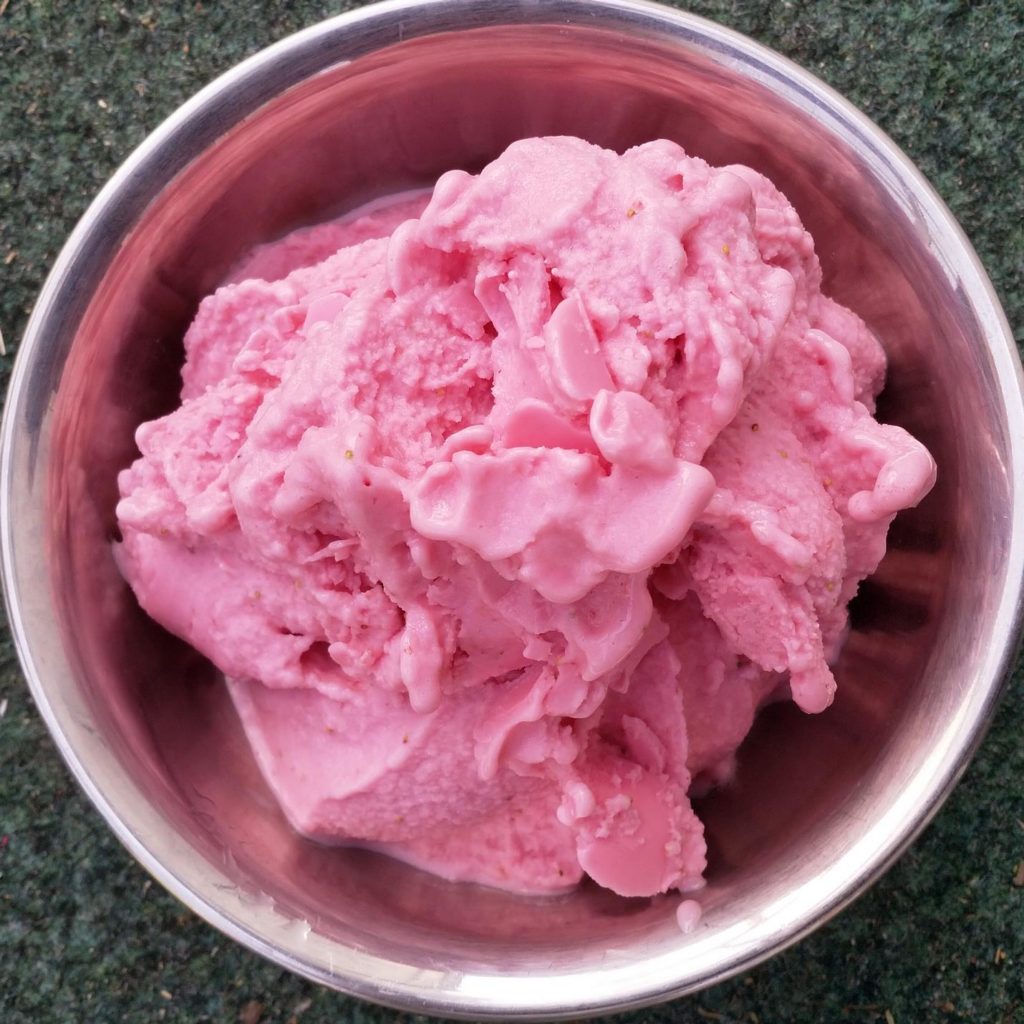 Erdbeer-Joghurt-Eis – Die Kochmänner